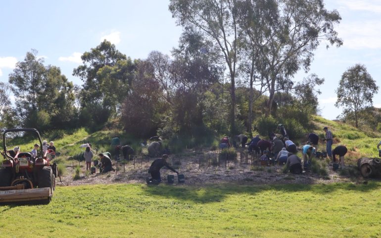 Darebin Parklands Newsletter August 2023
