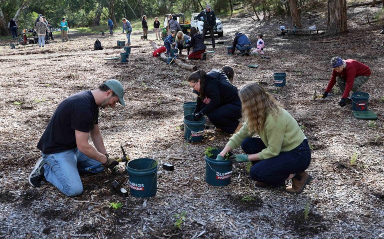 Park Care (18-May-2025)